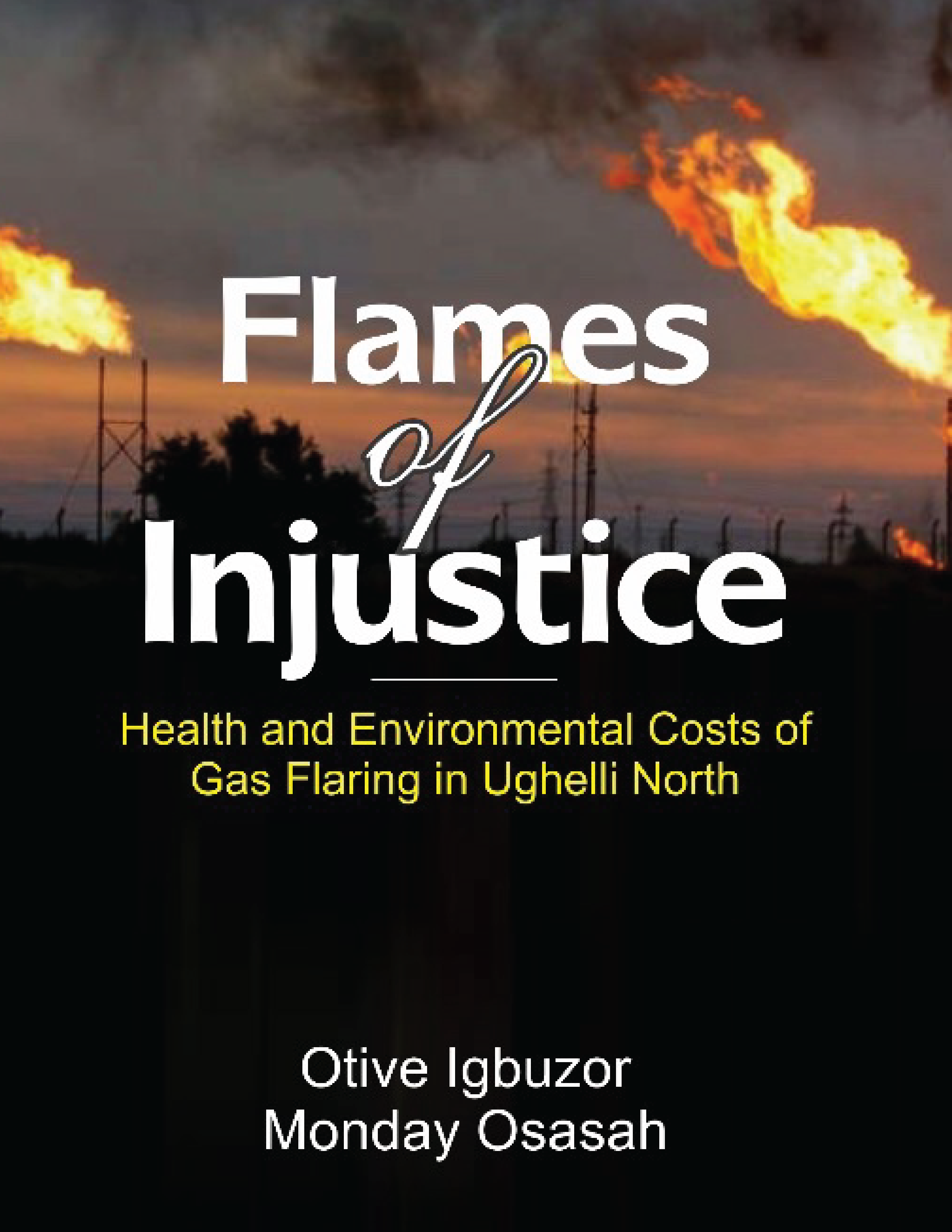 Flames of Injustice: Community Voices on Environmental Degradation and the Struggle for Justice in the Niger Delta