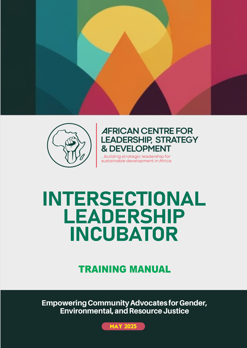 Intersectional Leadership Incubator (ILI) Fellowship Training Manual