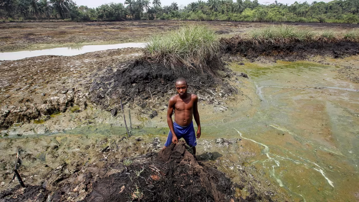 Niger Delta: Centre LSD tasks stakeholders on healthy environment