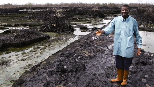 Achieving a Healthy and Sustainable Environment in the Niger Delta