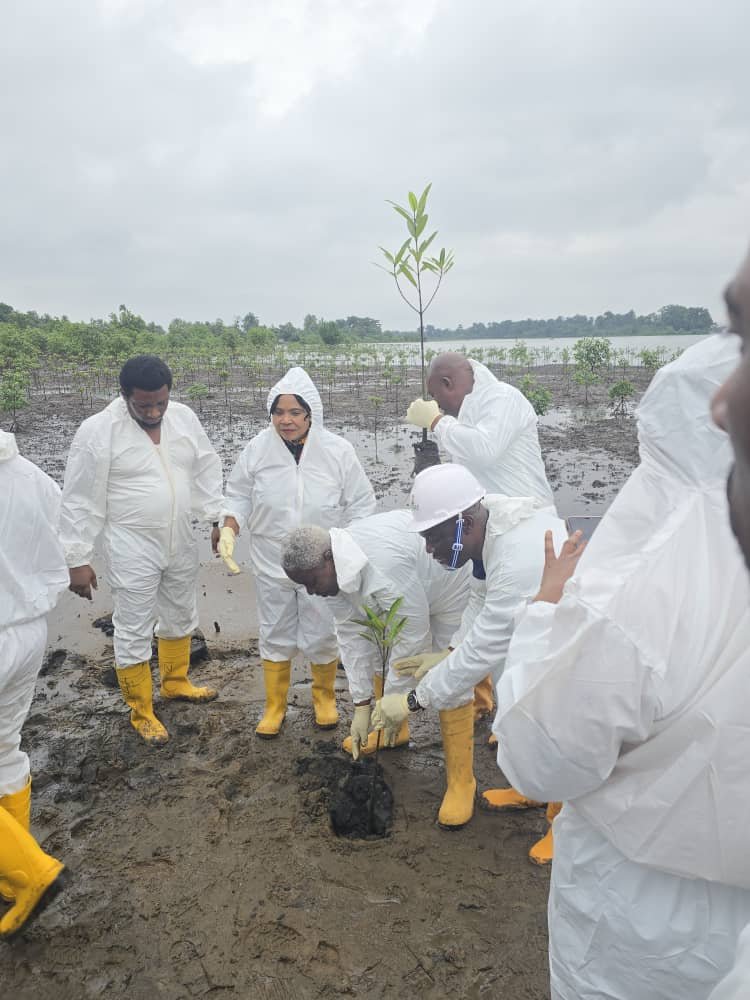 advocacy-for-the-clean-up-of-the-niger-delta-1753659529-2.jpg